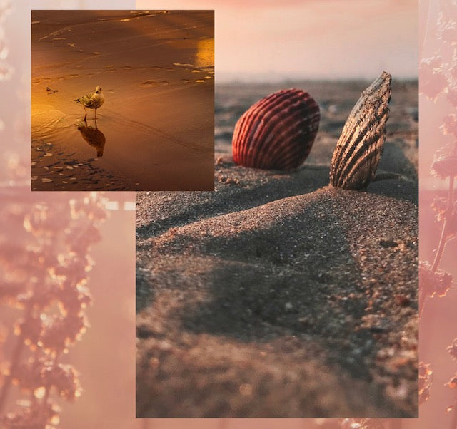 low tide